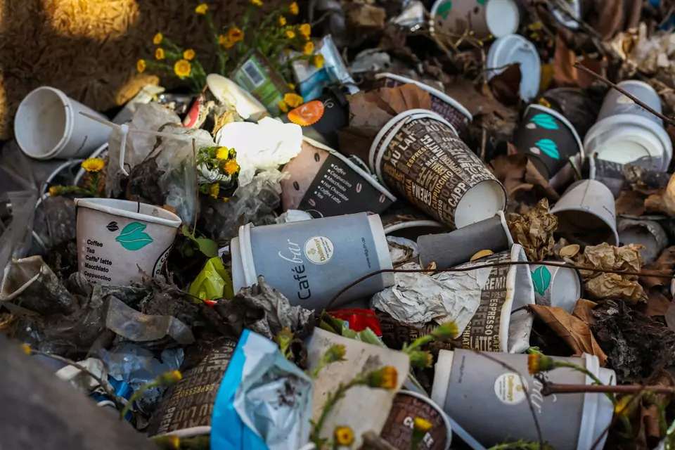 Rubbish and debris collected from a garden in Barnet, North London