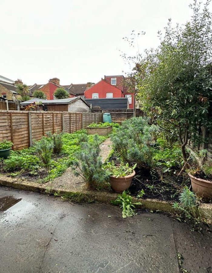 Garden clearance showing lots of outdoor materials after photo